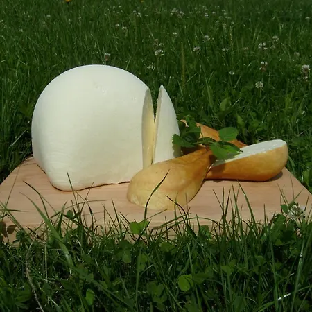Koliba Papradno